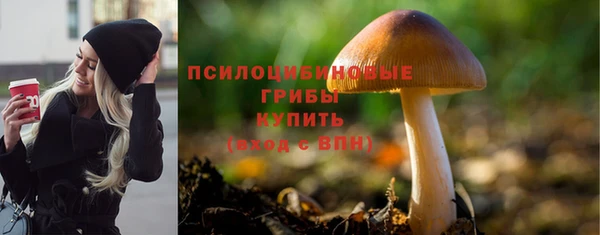прущая мука Новозыбков