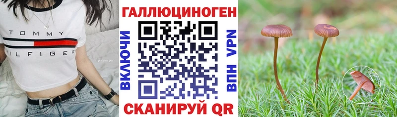 Галлюциногенные грибы ЛСД Купить Спас-Деменск